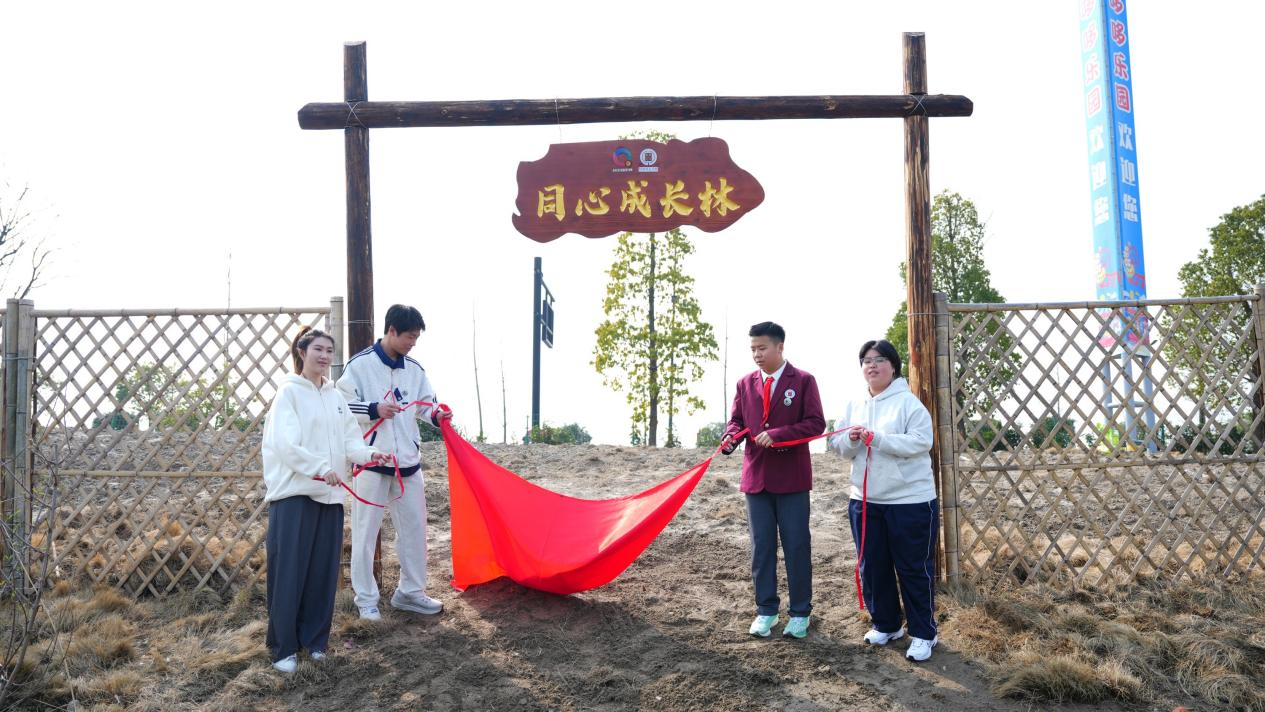 配图5