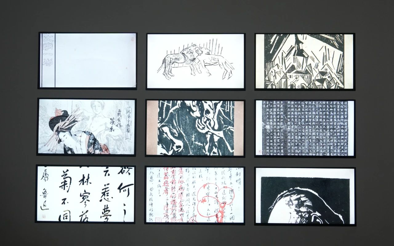 配图5