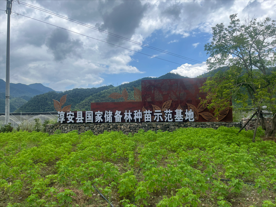 配图3