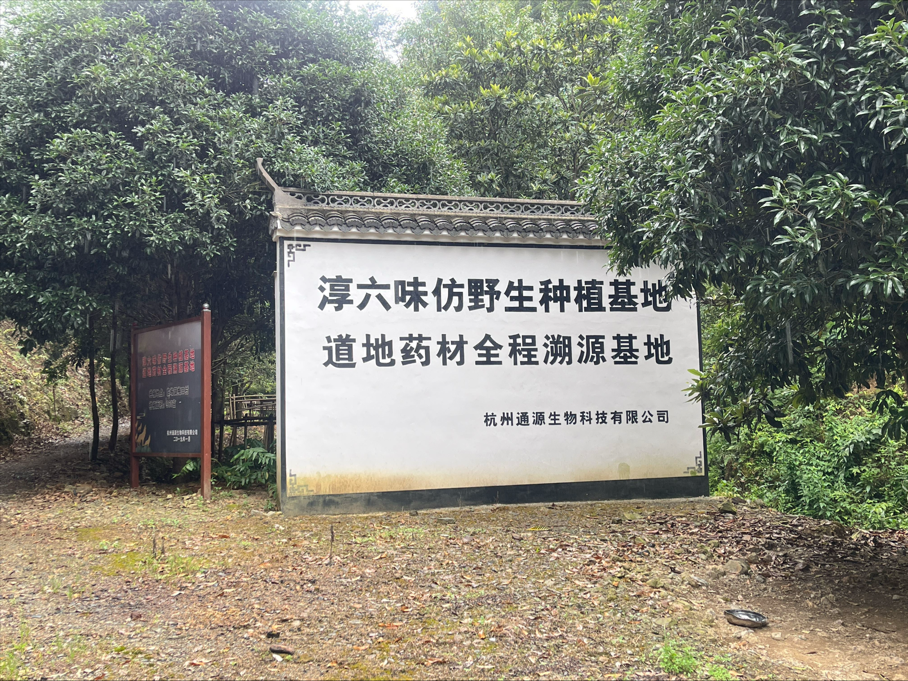 配图1