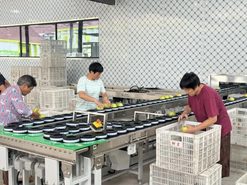 配图3