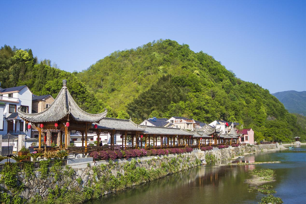 配图5